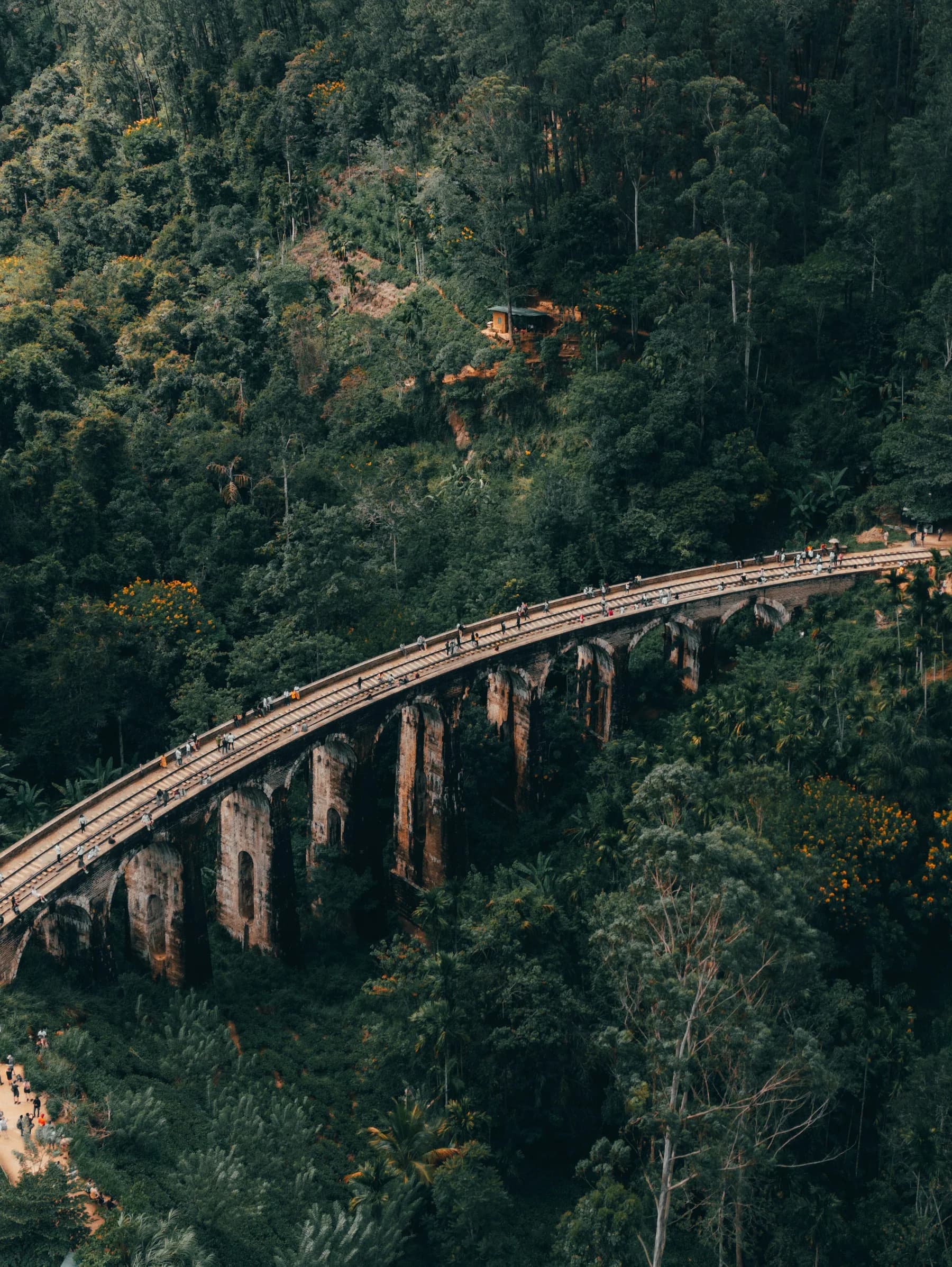 Train crossing the Nine Arch Bridge in Ella