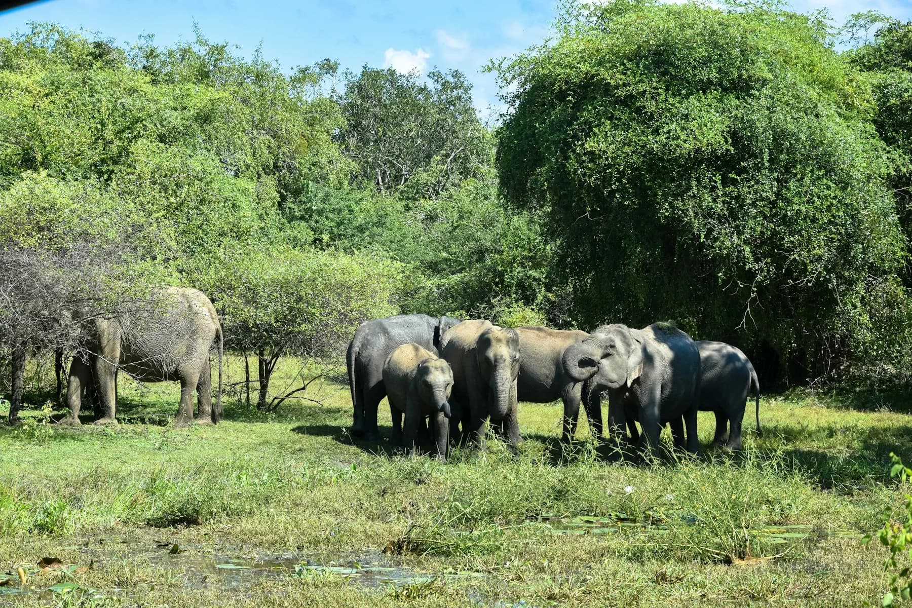 Yala National Park, Sri Lanka